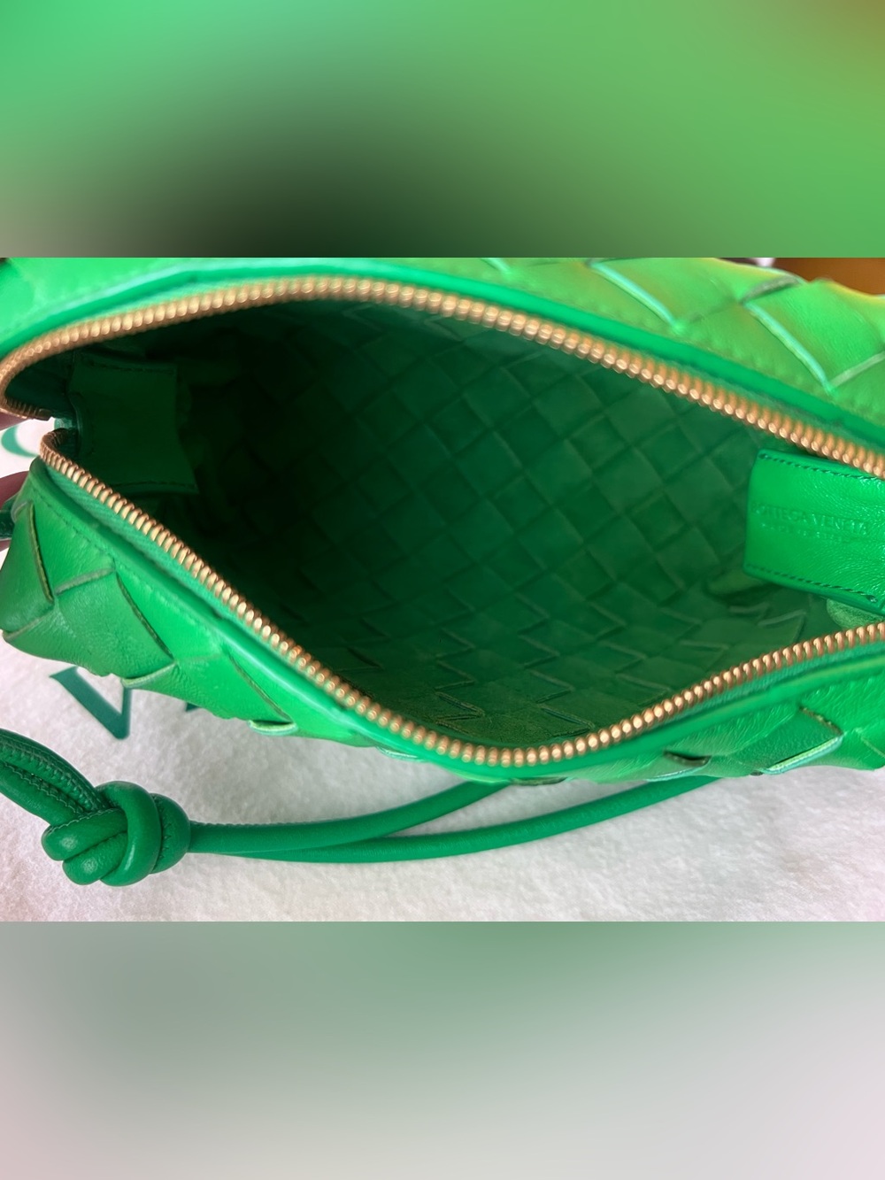 Bottega Veneta Mini Loop in Parakeet Green - Picture 16 of 16